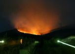 Пожарът в местността Бистришко бранище на Витоша. Снимка: БГНЕС