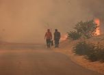 Пожарът край Арбанаси. Снимка: Булфото