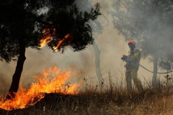Пожар в Гърция- Снимка: БГНЕС