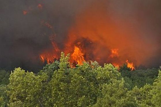 Три пожара горят във Варненско