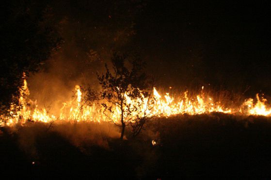 В района на Тополовград избухна нов пожар
