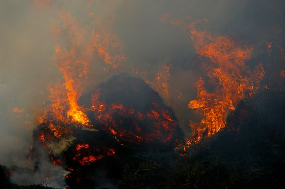 400 души гасят пожара край Белица