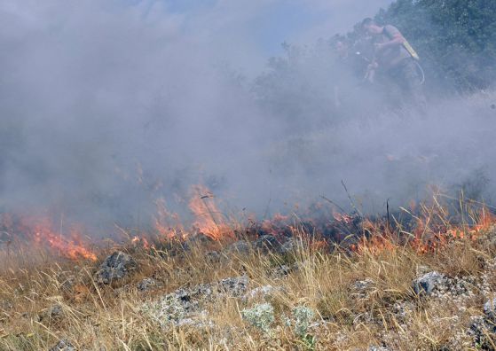 1200 дка гора изгоря в Брягово