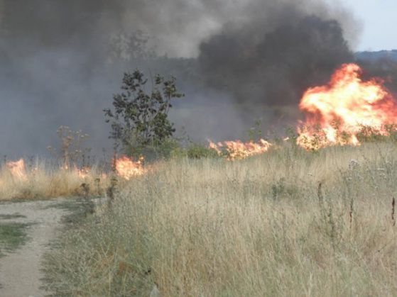 Пожари бушуват в Сливенско и Пловдивско