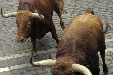 Корида между огнеборци и бикове в Димитровград