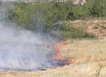 Пожар горя край Долна баня в Софийско