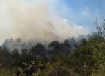 Пожар се вихри на 300 дка край Кюстендил (Снимки)