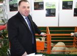 Министърът на земеделието и храните Мирослав Найденов Снимка: БГНЕС