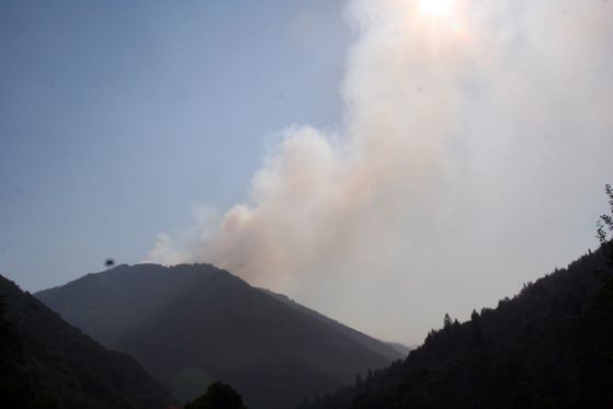 Овладян е пожарът в Стара планина