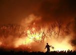 Голям горски пожар бушува близо до Атина. Снимка: Reuters