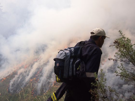 Големият пожар в Средна Рила. Снимка: Владимир Йончев
