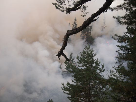Почти 300 пожара загасени за денонощие