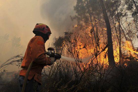 Португалия иска помощ от ЕС за пожарите (снимки)