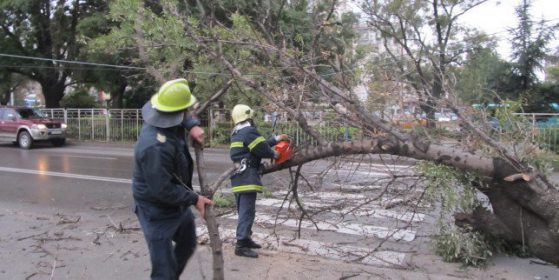 Оперират жената, затисната от дърво в Пазарджик, Снимка: БГНЕС, Архив