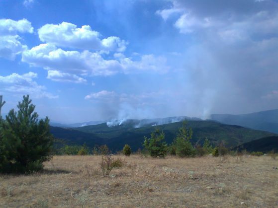 Пожар край Ветрен изпепелява горите по границата