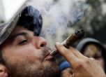 81% от българите са против легализирането на марихуаната