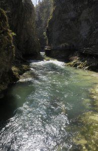 Алчни златотърсачи замърсяват река Крашевица