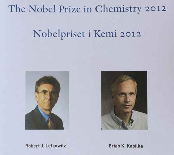 Двама американски учени с Нобеловата награда по химия 