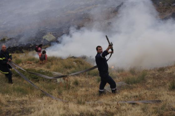 2 000 са вече доброволците за борба с горските пожари