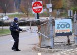 Зоологическата градина, в която хиени разкъсаха дете, бе затворена за неопределено време. Снимка: Associated Press/John Heller