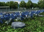 Гробище за фенове на германския футболен клуб "Шалке 04". Снимка: CNN