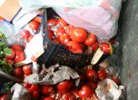 Женският пазар раздава развалени домати за протеста