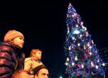 Коледната елха на София. Снимка: Сергей Антонов