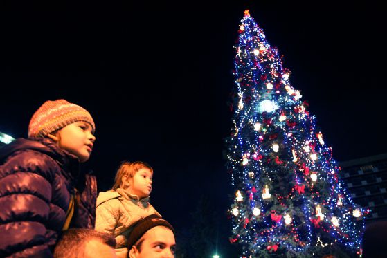 Коледната елха на София. Снимка: Сергей Антонов