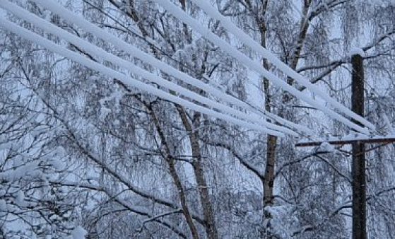 Радиационният гама фон в индустриалната зона не превишава допустимата стойност. Снимка: mns.gov.ua