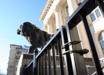 Бомбени заплахи срещу 3 съдилища в София и Варна