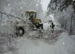 Екип разчиства паднали дървета на пътя Кърджали-Ардино. СНИМКА: БГНЕС