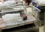 Срив в раждаемостта през 2012 г. - бебетата с над 10% по-малко