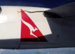 Змия изплаши пътниците на самолет в Австралия (видео)