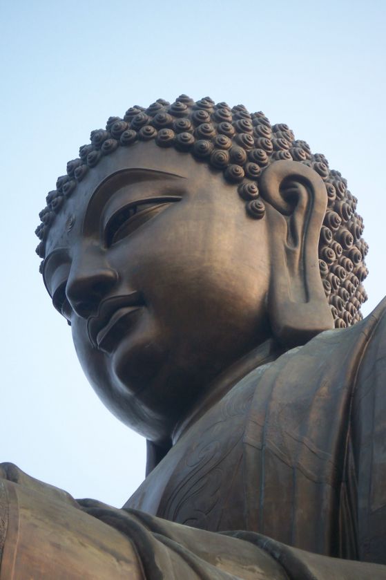 "Биволъ" с петиция до Европарламента за изслушване по казуса "Буда"