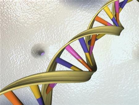 ДНК тест показа, че бащата на човечеството е на 340 000 години