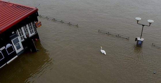 Наводнение. Снимка: ЕПА/БГНЕС