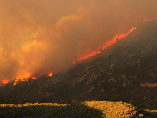 Пожарът край Палм Спрингс, Снимка: USA Today