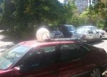 Стълб падна върху кола в София (снимки)