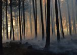 Пожарът над Локорско. Снимки: Тихомира Методиева - Тихича