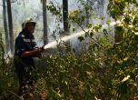 Остава в сила червен код за опасност от пожари, огънят в Локорско е потушен