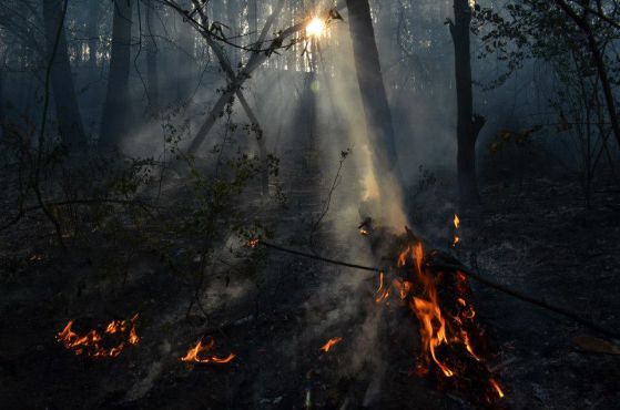 Пожарът в района на „Кремиковци” е овладян