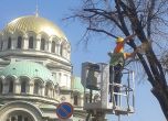 Режат сухи клони на дърво на ул. "Московска".