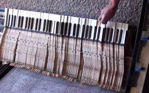 В Димитровград нацепиха роял за подпалки, ще варят компоти (видео)