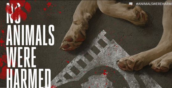 Холивуд малтретира и убива животни използвани в касовите филми. 
