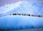 Учени измериха минус 91.2° на Антарктида