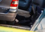 Двойно убийство във Варна - неизвестен мъж простреля мъж и жена на бул. "Владислав Варненчик". Снимка: БулФото