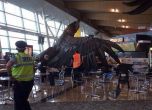 Трусът е откъртил този огромен орел от тавана на летището в Уелингтън