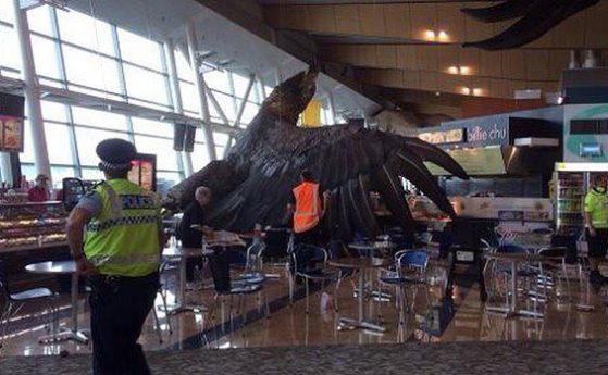 Трусът е откъртил този огромен орел от тавана на летището в Уелингтън