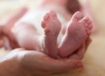 US компания прави 3D модели на все още неродени бебета