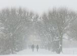 Снегът и грипът затвориха близо 500 училища. Снимка: Bev Lloyd-Roberts/sxc.hu